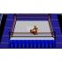 WWF Wrestlemania Steel Cage Challenge (Dendy)